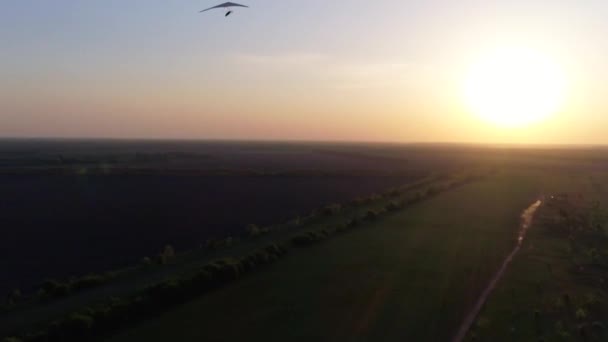 緑と黄色の新鮮な春のフィールド上の日没の時間にグライダーの飛行をハングアップ 空中トップビュー 無人機で撮影 — ストック動画
