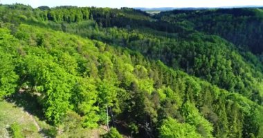 Almanya 'nın ünlü Hohenzollern Kalesi' nin hava manzarası. Drone ile alındı