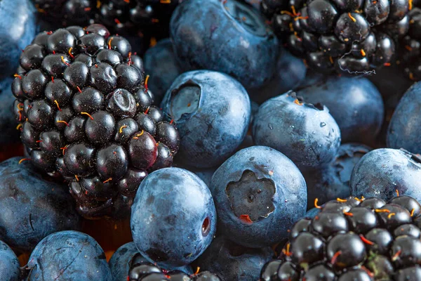 Fresh Bright Summer Berries Background Blueberry Blackberry — Stock Photo, Image