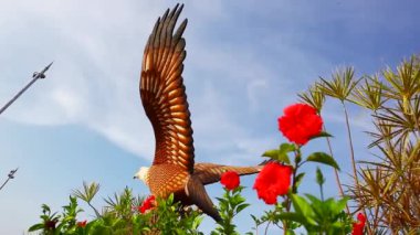 Langkawi, Malezya - Ferruaru 15, 2020: Malezya 'nın Langkawi adasındaki Kartal' ın büyük heykeli