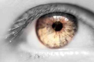 İnsan kahverengi göz makrosu