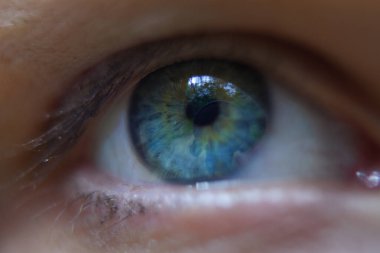 İnsan mavi gözünün makro görüntüsü