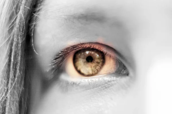 Ανθρώπινο Καστανό Μάτι Μακροεντολή — Φωτογραφία Αρχείου