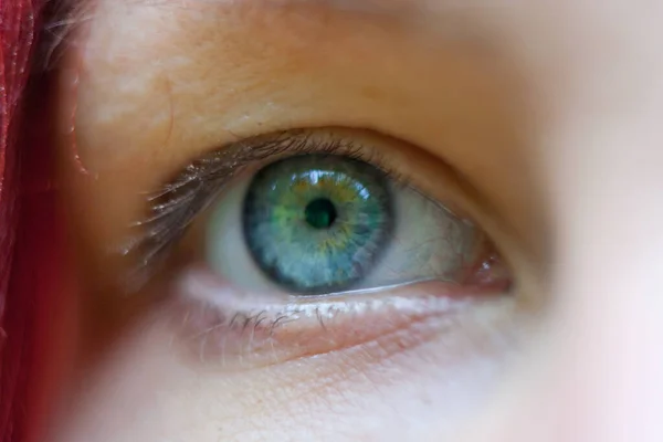 Close Olho Azul Humano — Fotografia de Stock