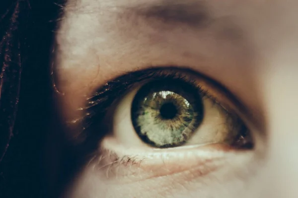 Closeup Macro Green Eye — Stock Photo, Image