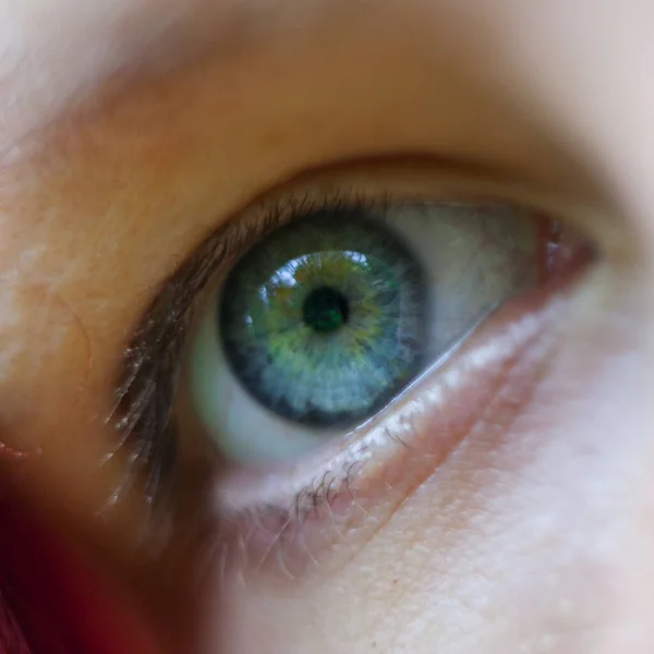 Крупный План Человеческого Голубого Глаза — стоковое фото