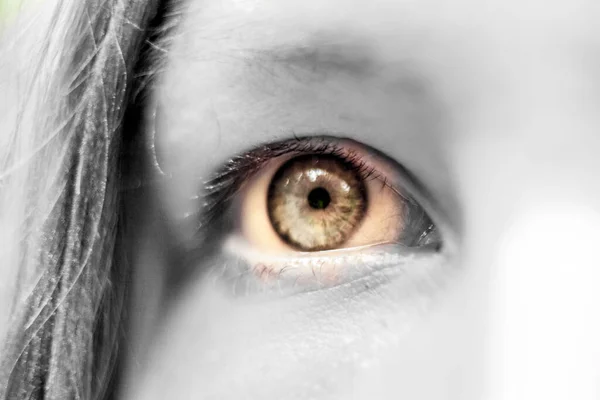 人間の茶色の目のマクロ — ストック写真
