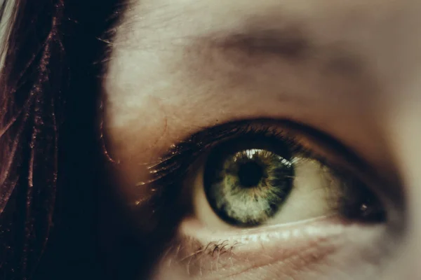 Πράσινο Ανθρώπινο Μάτι Closeup Φωτογραφία — Φωτογραφία Αρχείου