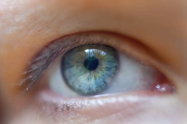 Makrobild Des Blauen Auges Des Menschen — Stockfoto