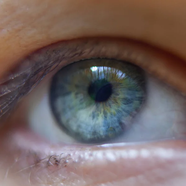 Makrobild Des Blauen Auges Des Menschen — Stockfoto