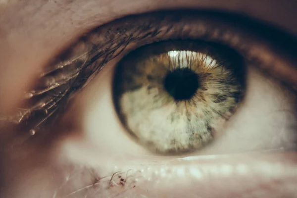 close up of women green eye