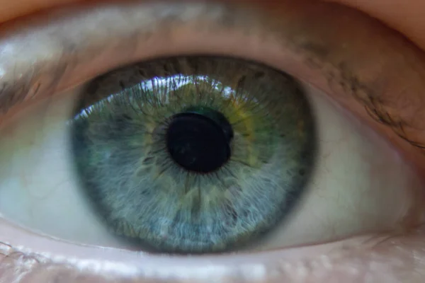 Makrobild Mänskligt Blått Öga — Stockfoto