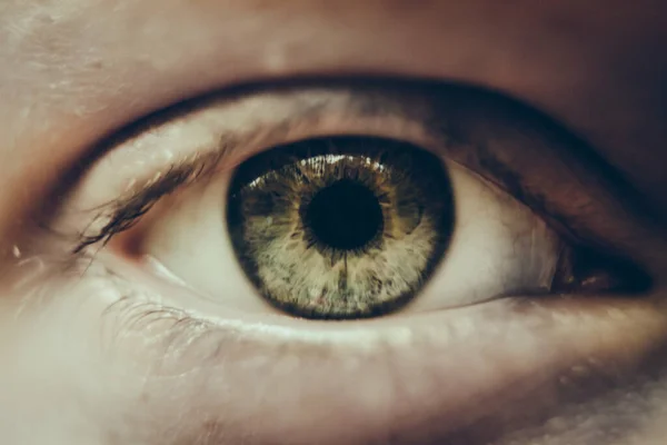 Nahaufnahme Von Frauen Grüne Augen — Stockfoto