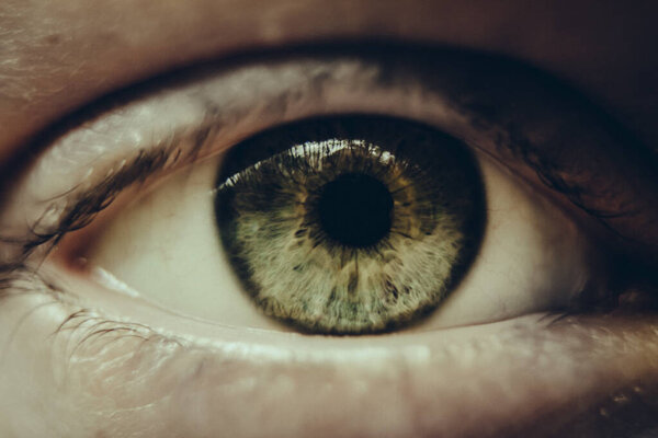 close up of women green eye