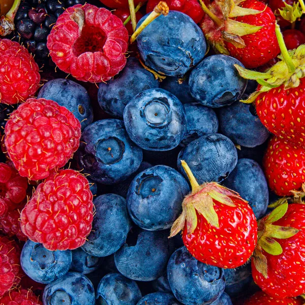 딸기와 배경이 — 스톡 사진
