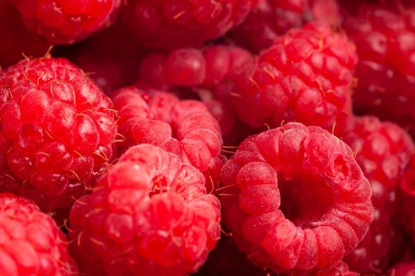 Fresh Bright Summer Raspberries Closeup Background — Stock Photo, Image