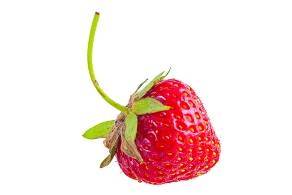 Fragola Vitaminica Fresca Rossa Brillante Isolata — Foto Stock