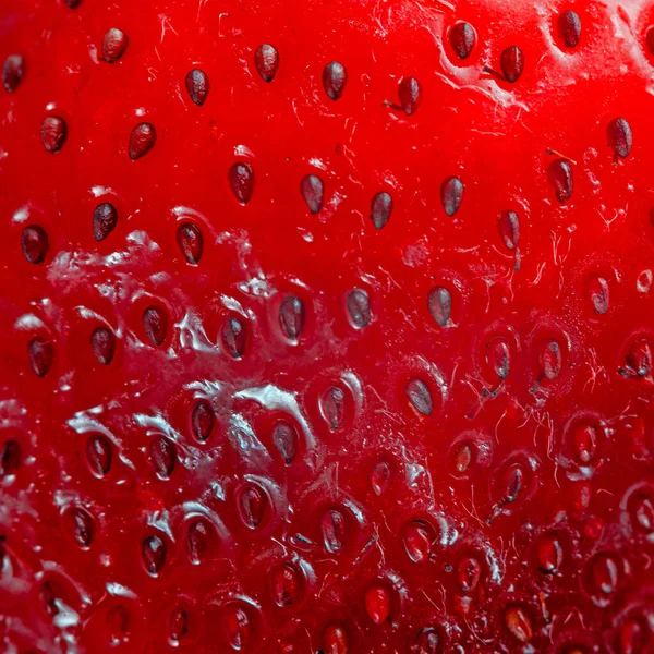 Bright Red Juicy Strawberry Closeup Background — Stock Photo, Image