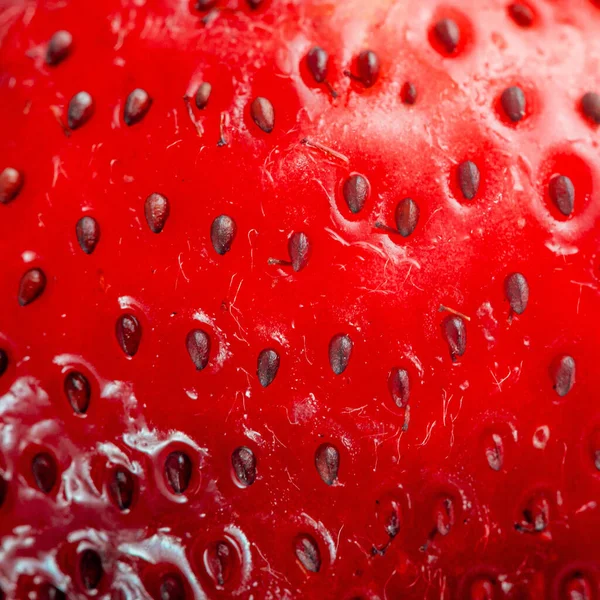 鲜红多汁草莓特写背景 — 图库照片#