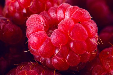 Parlak vitaminli ahududu yakın plan.