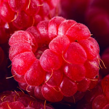 Parlak vitaminli ahududu yakın plan.