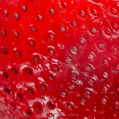 Parlak kırmızı sulu çilek yakın plan