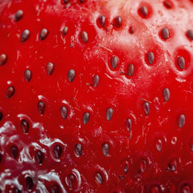 Parlak kırmızı sulu çilek yakın plan