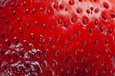 Parlak kırmızı sulu çilek yakın plan