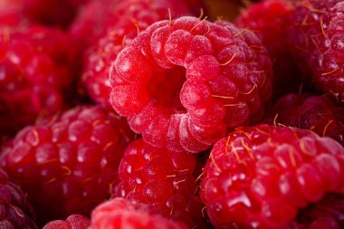 Parlak vitaminli ahududu yakın plan.