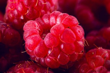 Parlak vitaminli ahududu yakın plan.