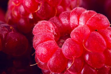 Parlak vitaminli ahududu yakın plan.