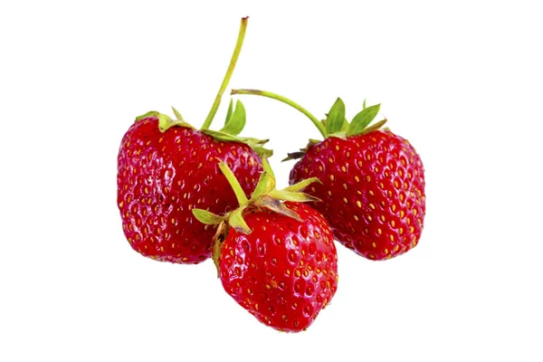 Bright Red Fresh Vitaminous Strawberry Berry Isolated — Stock Photo, Image
