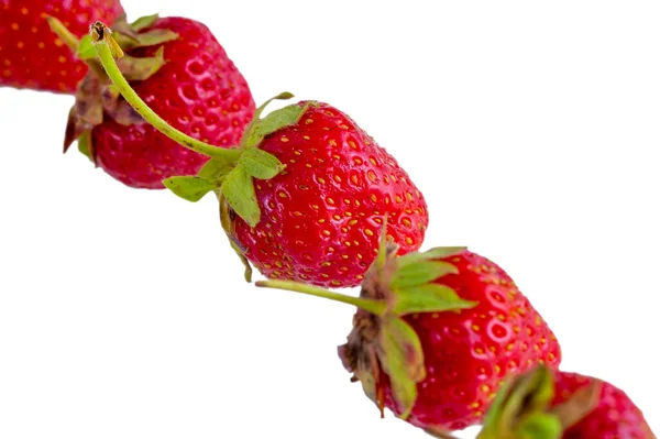 Luminoso Isolamento Rosso Fragola Bianco — Foto Stock