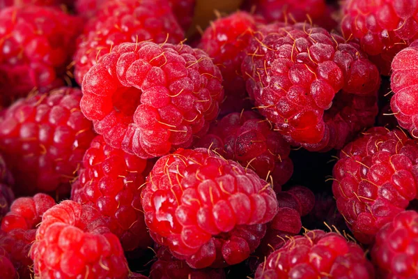 Bright Fresh Vitaminous Raspberry Closeup Backround — Stock Photo, Image