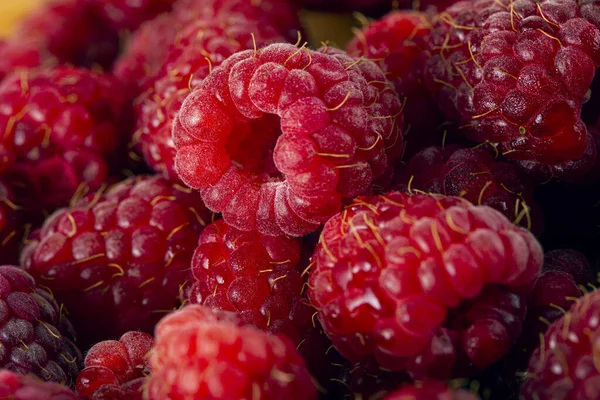 Bright Fresh Vitaminous Raspberry Closeup Backround — Stock Photo, Image