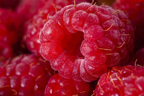 Bright Fresh Vitaminous Raspberry Closeup Backround — Stock Photo, Image