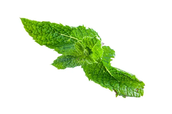 Fresh Bright Green Aromatic Mint Leaf Isolation — Stock Photo, Image