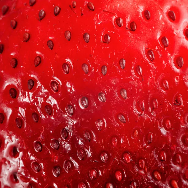 Brilhante Vermelho Suculento Morango Closeup Fundo — Fotografia de Stock