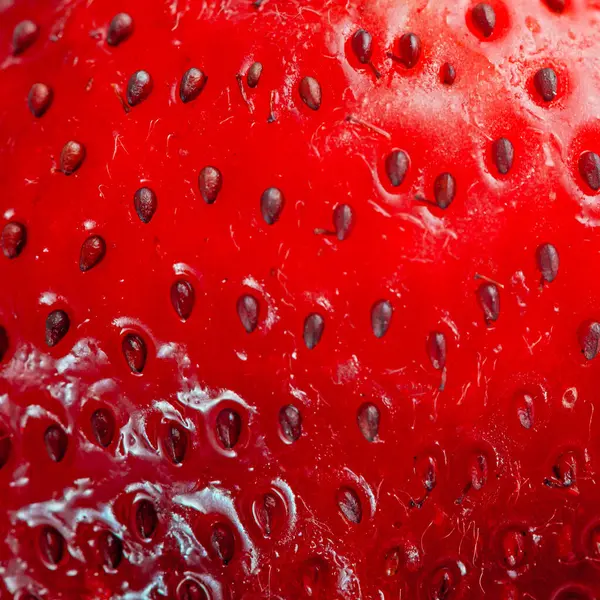Knallrote Saftige Erdbeere Nahaufnahme Hintergrund — Stockfoto