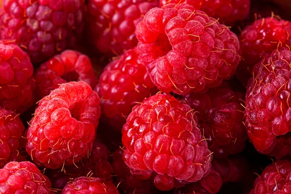 Bright Fresh Vitaminous Raspberry Closeup Backround — Stock Photo, Image