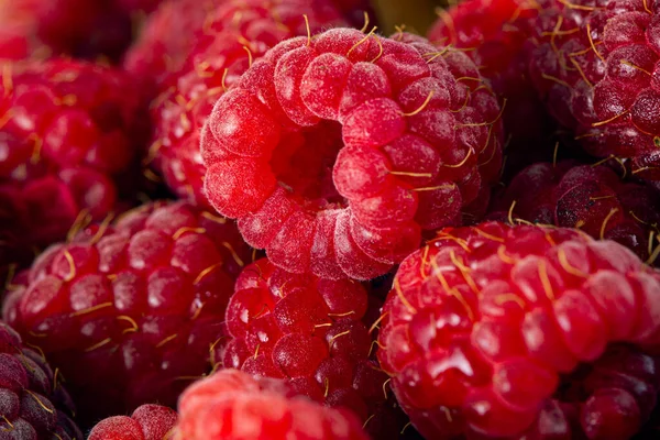 Bright Fresh Vitaminous Raspberry Closeup Backround — Stock Photo, Image