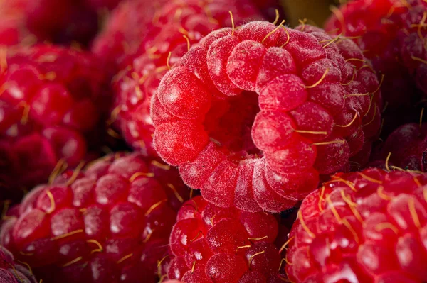 Bright Fresh Vitaminous Raspberry Closeup Backround — Stock Photo, Image