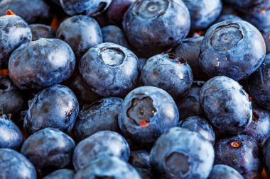 Taze sulu yaban mersini vitaminli arka plan