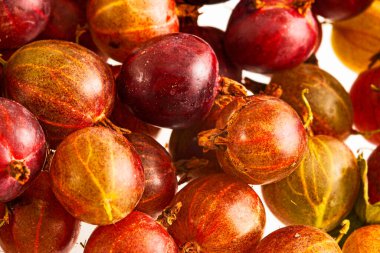 Taze parlak yaz sarısı bektaşi üzümü arka planı