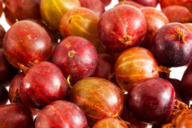 Taze parlak yaz sarısı bektaşi üzümü arka planı