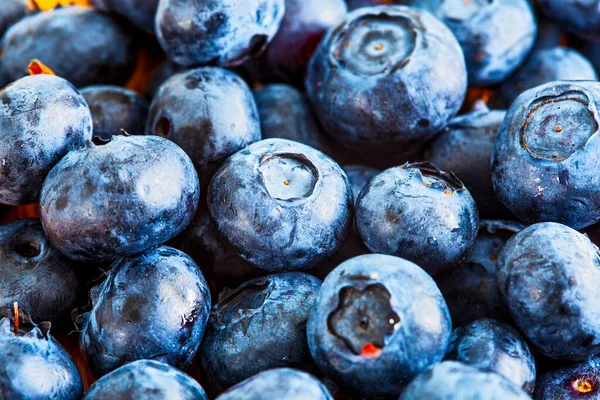 Fresh Juicy Blueberry Vitaminous Background — Stock Photo, Image