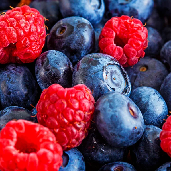 Frescas Bayas Mixtas Verano Arándanos Frambuesas Moras —  Fotos de Stock