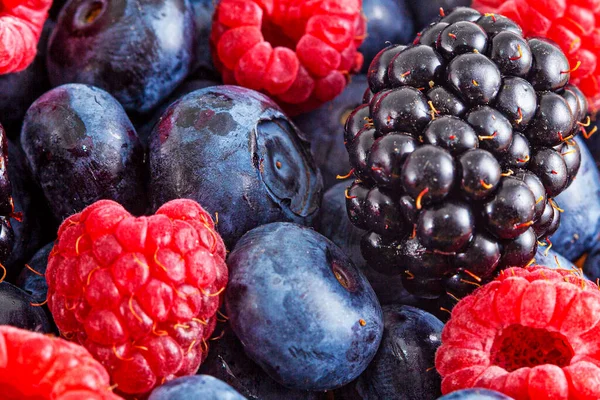 Buah Beri Musim Panas Campuran Segar Blueberry Raspberry Dan Blackberry — Stok Foto