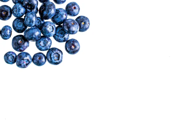 Fresh Blue Blueberry Isolated White — Stock Photo, Image