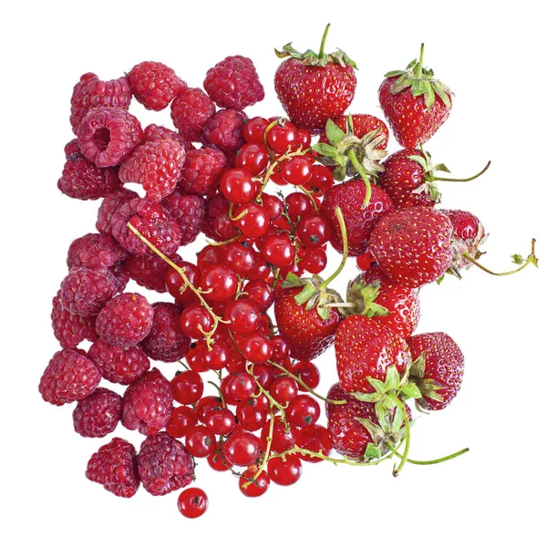 Fresh Red Summer Berries Strawberry Raspberry Red Currant White Background — Stock Photo, Image